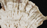 Cave Onyx Rock Slab 37