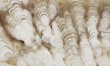 Cave Onyx Rock Slab 37