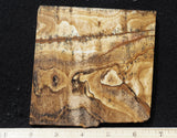 African Queen Picture Jasper 7