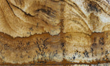 African Queen Picture Jasper Rock Slab 275