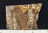 African Queen Picture Jasper Rock Slab 281