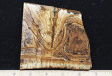 African Queen Picture Jasper 14