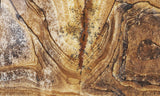 African Queen Picture Jasper 14