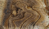 African Queen Picture Jasper Rock Slab 299