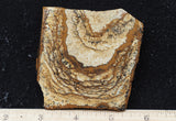 Bargain Bin F Slab 205