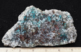 Dendritic Copper Chrysocolla 50