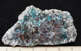 Dendritic Copper Chrysocolla 50