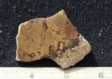 Whiskey Creek Jasper Rock Slab 104