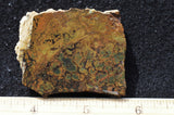 Whiskey Creek Jasper Rock Slab 80