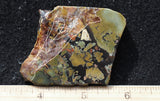 Whiskey Creek Jasper Rock Slab 165