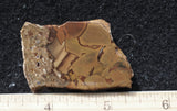 Whiskey Creek Jasper Rock Slab 189