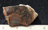 Whiskey Creek Jasper Rock Slab 174