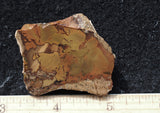 Whiskey Creek Jasper Rock Slab 103