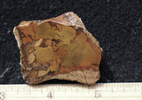 Whiskey Creek Jasper Rock Slab 103