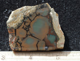 Whiskey Creek Jasper Rock Slab 126