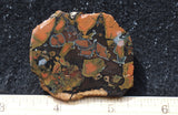 Whiskey Creek Jasper Rock Slab 178