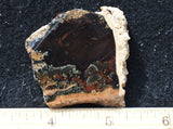 Whiskey Creek Jasper Rock Slab 88