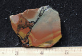 Whiskey Creek Jasper Rock Slab 185