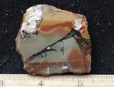 Whiskey Creek Jasper Rock Slab 83