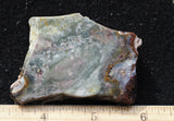 Whiskey Creek Jasper Rock Slab 180