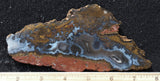 Texas Plume Agate 480