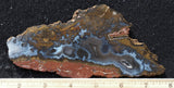 Texas Plume Agate 480