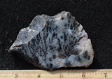 Texas Plume Agate 484