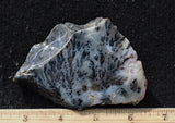 Texas Plume Agate 484