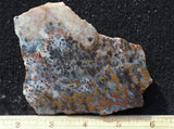 Texas Plume Agate 488