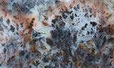 Texas Plume Agate 488