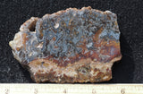 Texas Plume Agate 479