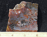 Texas Plume Agate 470