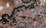 Texas Plume Agate 495