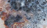 Texas Plume Agate 472