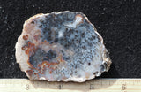 Texas Plume Agate 472