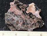 Texas Plume Agate 494