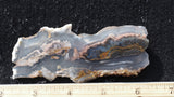 Texas Plume Agate 487