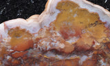 Texas Plume Agate 498