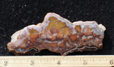 Texas Plume Agate 498