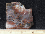 Texas Plume Agate 471