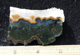 Texas Plume Agate 497