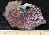 Texas Plume Agate 486