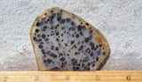 Montana Agate Rock Slab 157