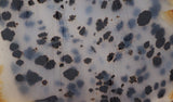 Montana Agate Rock Slab 157