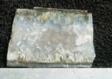 Bargain Bin F Slab 238