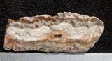 Mexican Crazy Lace Agate Rock slab 0206