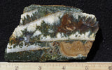 Linda Marie Rock Slab 478