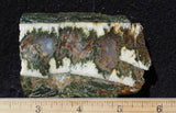 Linda Marie Rock Slab 475