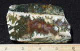 Linda Marie Rock Slab 474