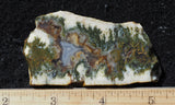 Linda Marie Rock Slab 481